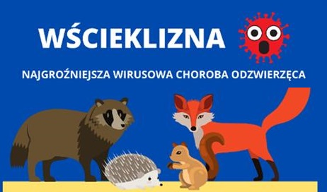 OBOWIĄZEK szczepienia psów i KOTÓW - zdjęcie ilustracyjne