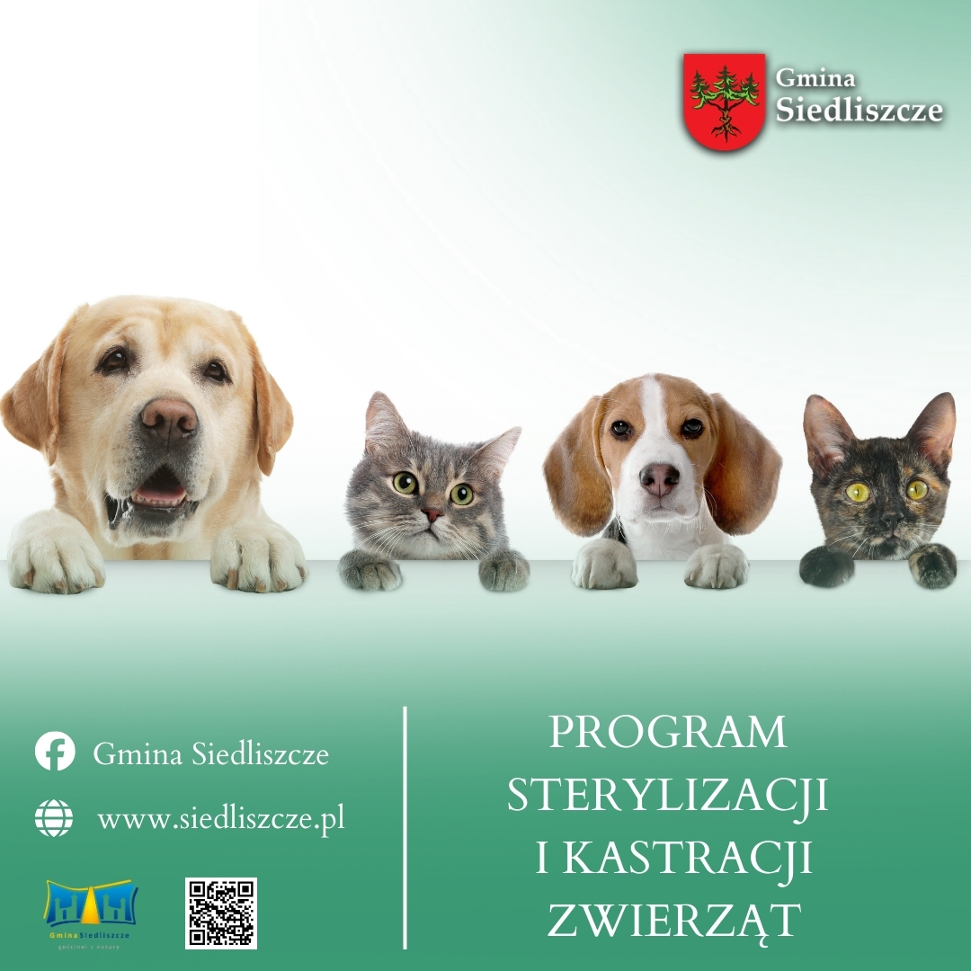 Gmina Siedliszcze  Facebook kwadrat 4